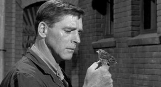 0064703_24541_MC_Tx360