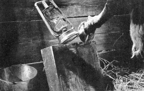 10-08--In Old Chicago02