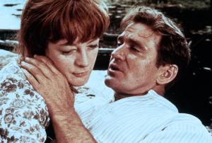 1834845,+wriAlIJ19davfGDvXzlIufQWkKiLVaABmjAIxDq6vwCpzdB7gSn3YZw+bRYHkEGwyQHkgDu163xeErIJvHxhA== (1)