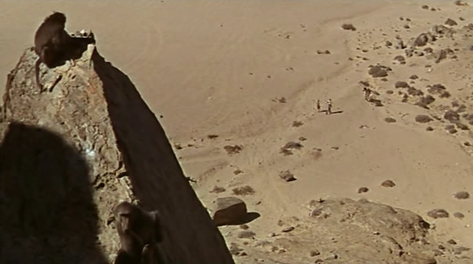 Sands.of.the.Kalahari.1965.dvb.NiX.avi_snapshot_00.21.30_[2012.04.23_22.15.26]