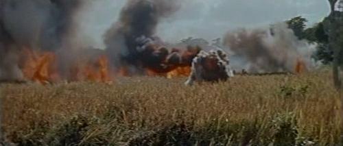 the-naked-and-the-dead-raoul-walsh-1958-333