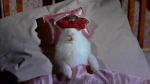 f10ab898a4a985cb27c13218ba5ca3a8