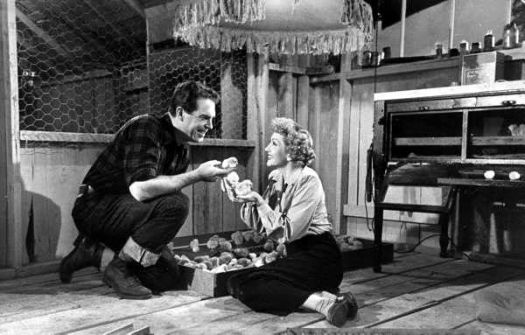 471e254c22f0366ed2e13b1a677a670d