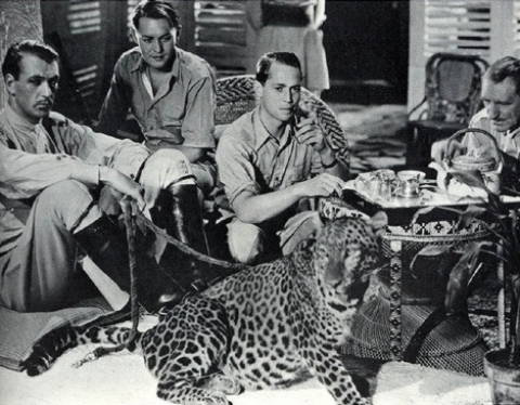 TRES LANCEROS BENGALIES