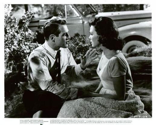 5029f9d01e38c1fdcc594fbd6246896b