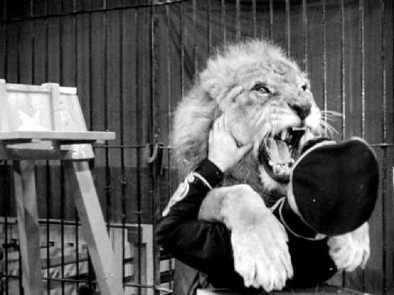 the-wagons-roll-at-night_469330_43182