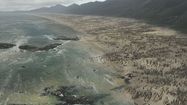 12415d14-155b-4a27-a1ed-d15cee6fd6e0_48a89a4f_image