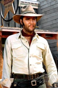 007d9d099d5e3b10d6e02b950d263bf5