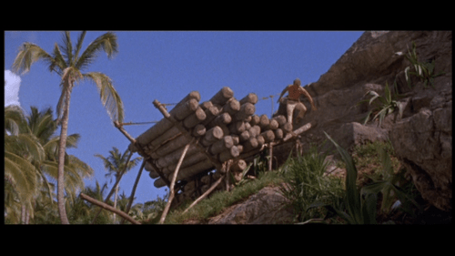 swiss-family-robinson-1960-14