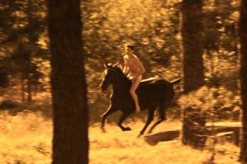 robert-forsterriding1