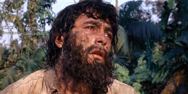 l-homme-de-borneo_398217_504