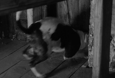 lean-dog-scrabble-bmp