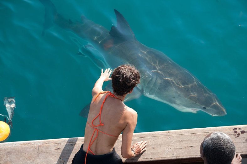 MV5BMjEzOTg4NTUwN15BMl5BanBnXkFtZTcwNzkyMTc0Nw@@._V1_SX1500_CR0,0,1500,999_AL_