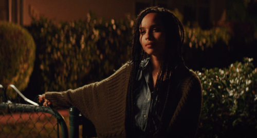 tumblr_nx3l0jgTRN1s61c5fo1_500