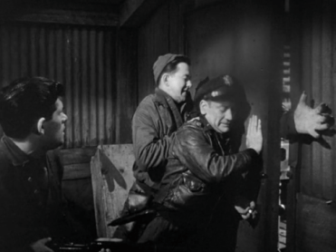 tumblr_l95qudffSM1qzpdnho1_500