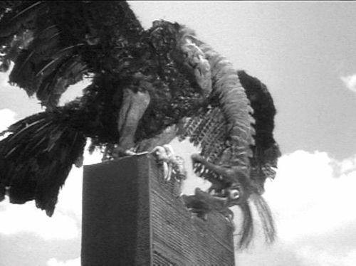 tumblr_luml3v73Os1qcs5bjo1_500