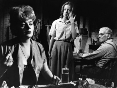 a-patch-of-blue-shelley-winters-elizabeth-hartman-wallace-ford-1965