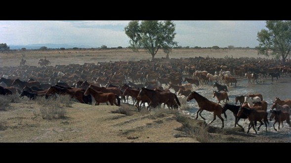 large_the_undefeated_x_blu-ray_