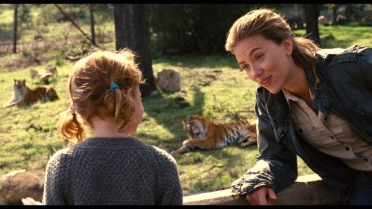 00762027705173955413