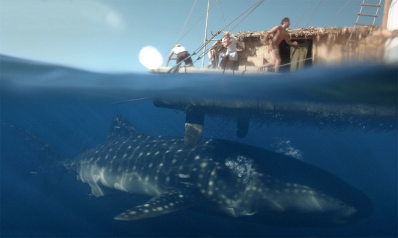 KON-TIKI_FIDO_WHALE_RAFT