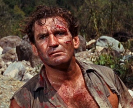 rod-taylor-620-dark-of-the-sun