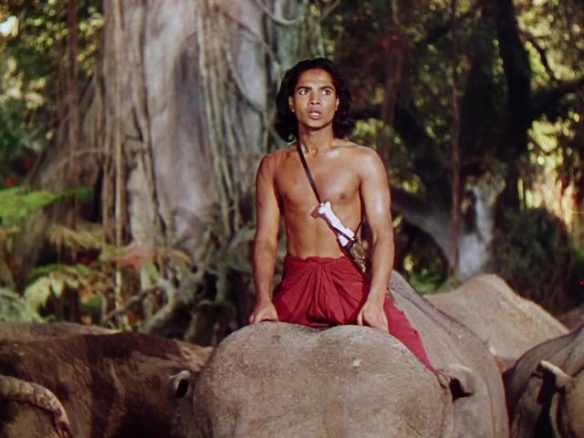 3803006c-20b5-4231-8cce-b4501fd38c0e