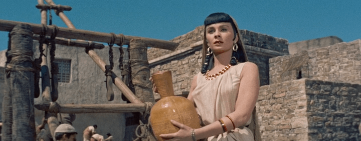 5m9iarbmv0v1yd6eislz