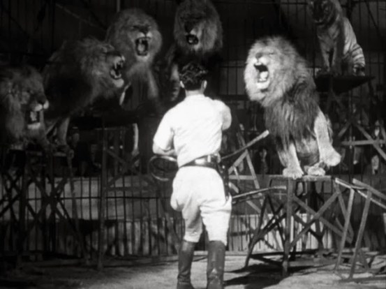 1943_captive_wild_040