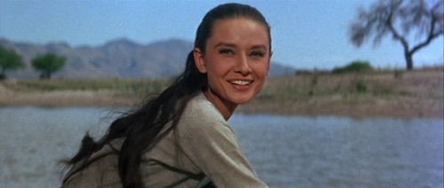 0724d7c86aa8a65397a41fa3e978f891