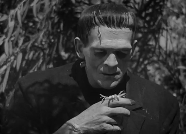 frankenstein9