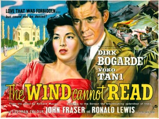 the-wind-cannot-read-320x240