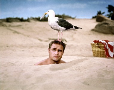 tumblr_ml3vl2hkd91rpqdi8o1_1280