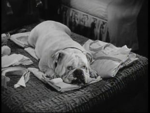 since-you-went-away-soda