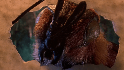 tumblr_mj0214a3nm1qzr8nao1_500