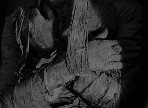 fd3b6aff69bbafe880977c2cf14f4a5b