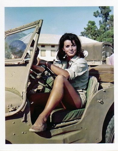 fef4b7c027f7bb9074773780dfc6c9b0