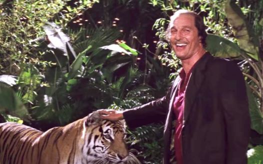 matthew-mcconaughey-gold