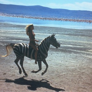 v1.bjs4NDE3Njk7ajsxNzMzNDsxMjAwOzQwNzY7MjcwMA