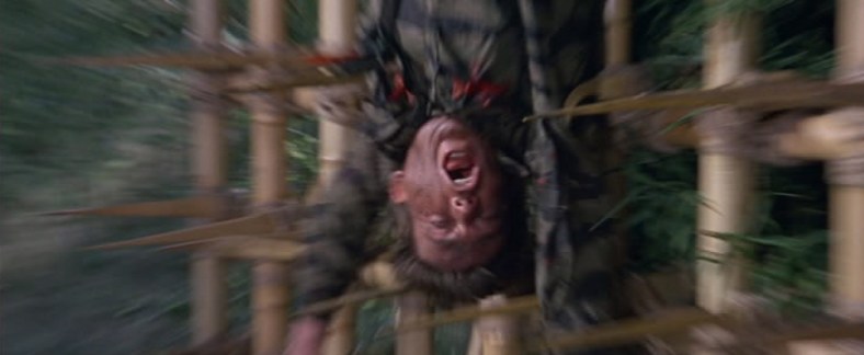 Green Berets Peterson death