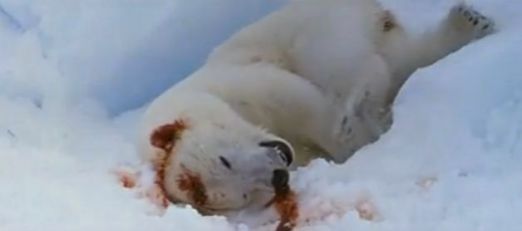 6a00d834519ff669e201538fe5bf1d970b-800wi