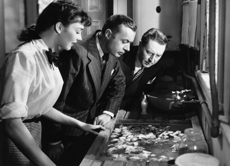 87614e83b998bf2ab27eed5e7668bcdf