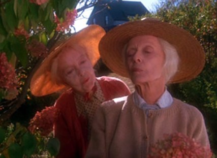 bette-davis-lillian-gish-the-whales-of-august