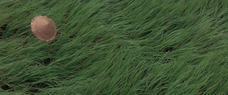 Heaven_Earth_-_Hat_in_Grass