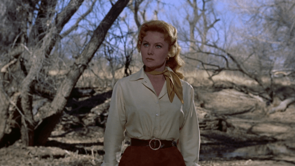 79d6527013e4fb98620e11654edbe91c