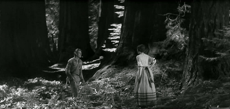 critique-la-piste-des-geants-walsh9