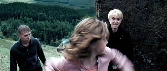 Hermione_punching_Draco