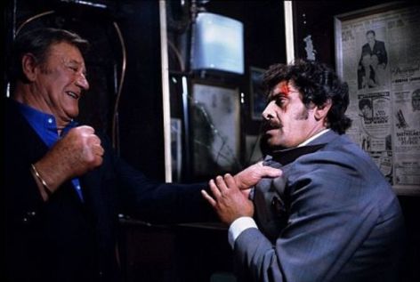 mucjzjklwfp1bwtq7kcf