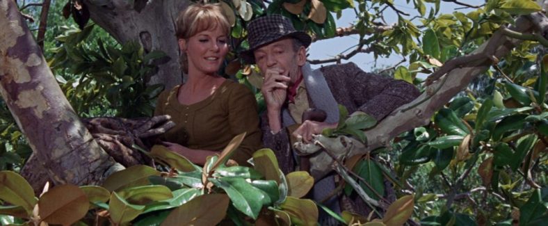 finians-rainbow-6-1024x423