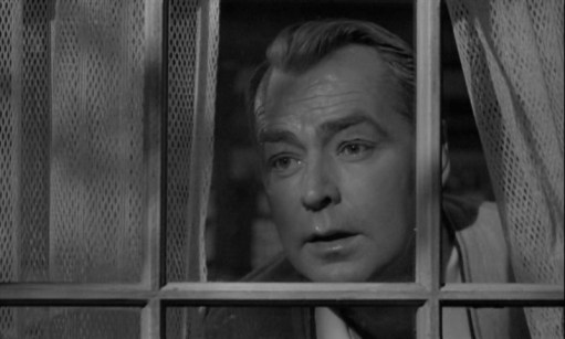 Man_in_the_Net-DVD-R0-MGM-05421