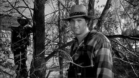 Paper-Moon-Randy-Quaid-1973-620x349